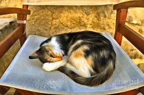 cat-sleeping-on-a-chair-ii-george-atsametakis