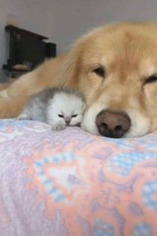 d52b6e6c5e029561b4f8d41f96bb95f2