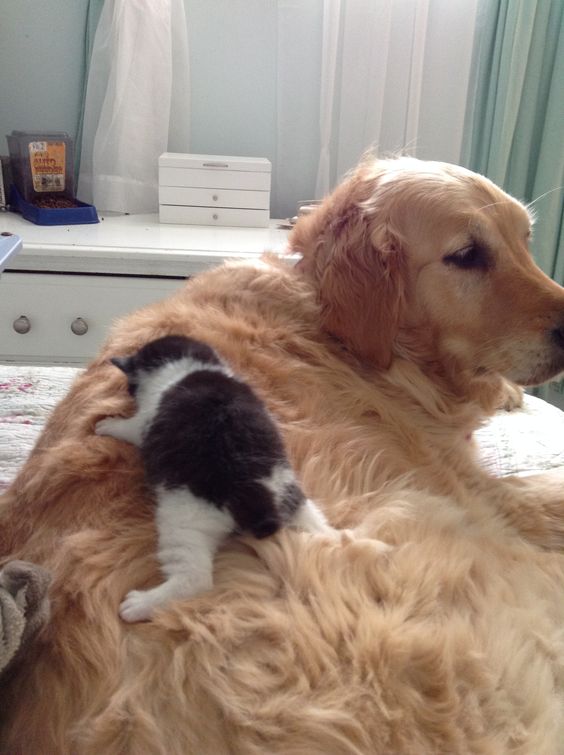 f3efce571e715e3b2632bf8d1e12467d