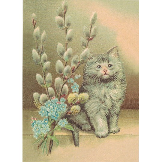 Pussy-Willows-and-cat