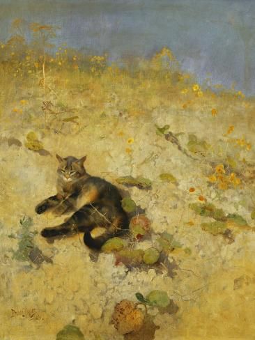 A Cat Basking in the Sun, Bruno Lijefors