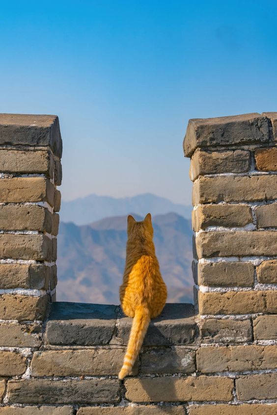 28693116f46b144beb6bf6491dfdf937