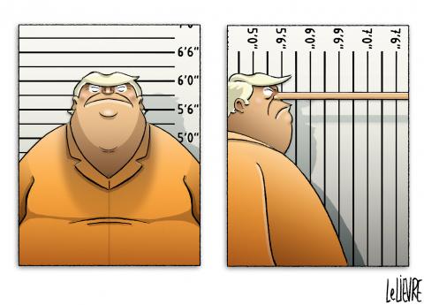 Mug shots 16.4 x 11.8