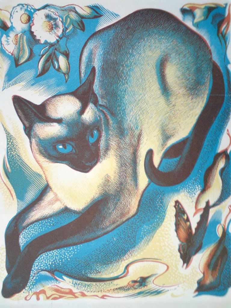 siamese-cat-1950-768x1024