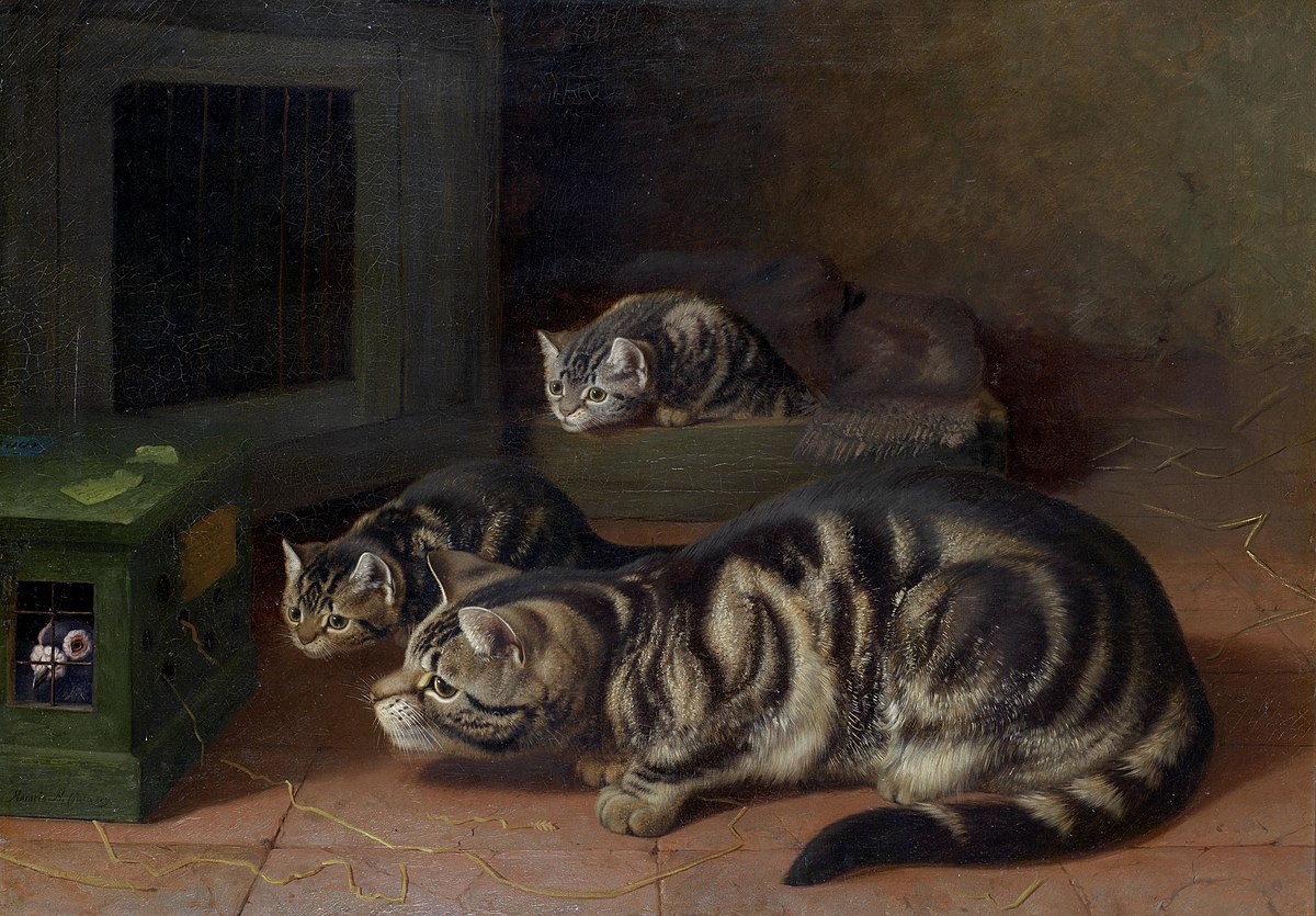 Horatio_Henry_Couldery_Curiosity