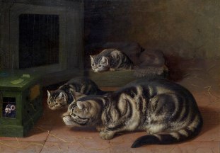 Horatio_Henry_Couldery_Curiosity
