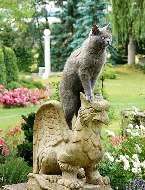 3b63b0c9eb981ea8bdc6cea3a7878aac