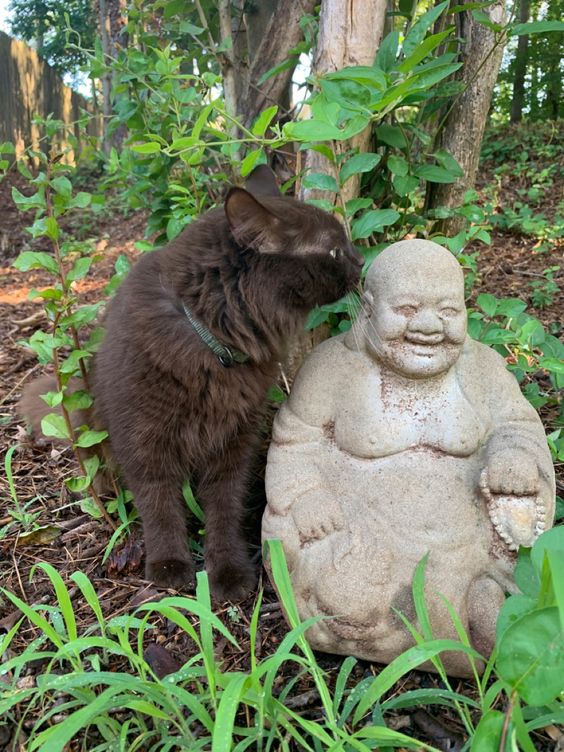 41c15a0f7d5b13d2ae03a4c72189adaf