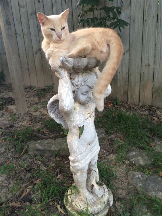 9dace97b15bb9d3c8f5994e9c78be7f8