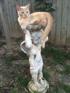 9dace97b15bb9d3c8f5994e9c78be7f8