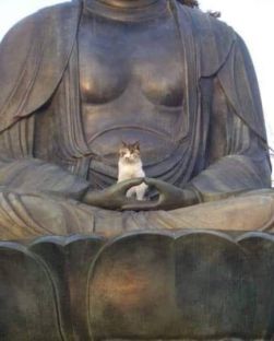 d217a97a096d8949b61f464fbe778183