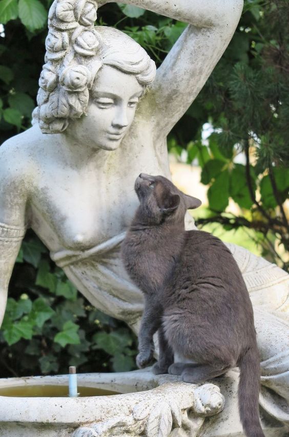 eb099095161d02990bfde0f46eef8e0b