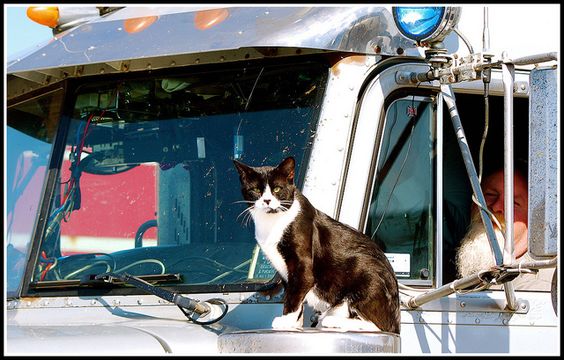 Photo by abbenquesnel on flicker