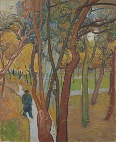 Vincen Van Gogh, The Garden of St. Paul's Hospital Leaf Fall
