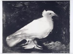 Dove 1949 by Pablo Picasso 1881-1973