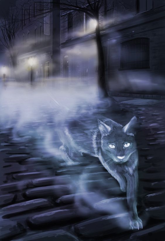 Fog Cat by Siraure at Deviant Art
