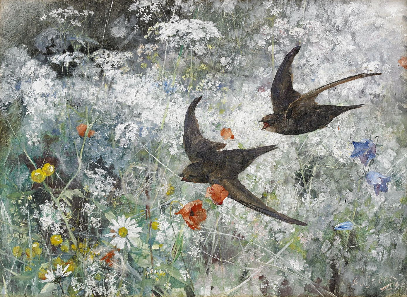 Bruno Liljefors, Common Swifts