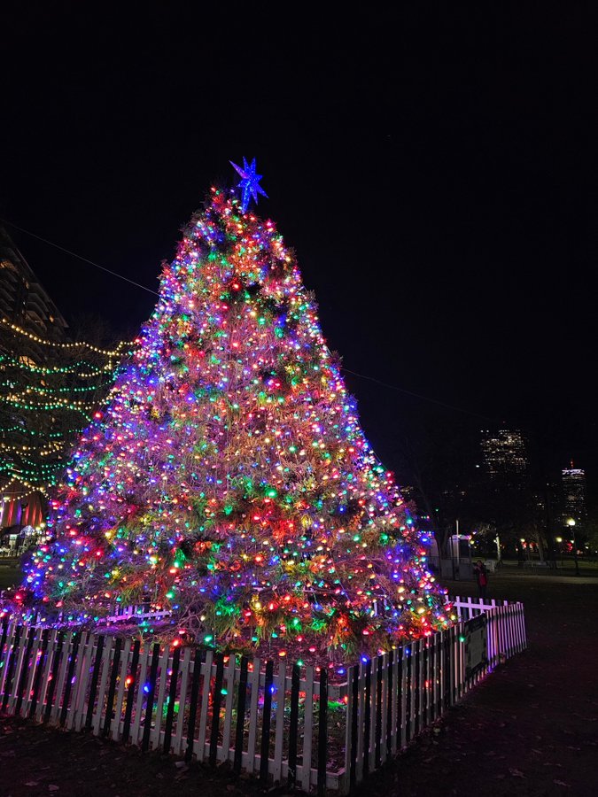 Boston official christmas tree, 2023