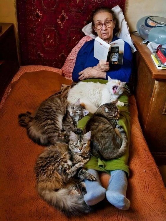 56472f58f940842437a70eabc38ddf92