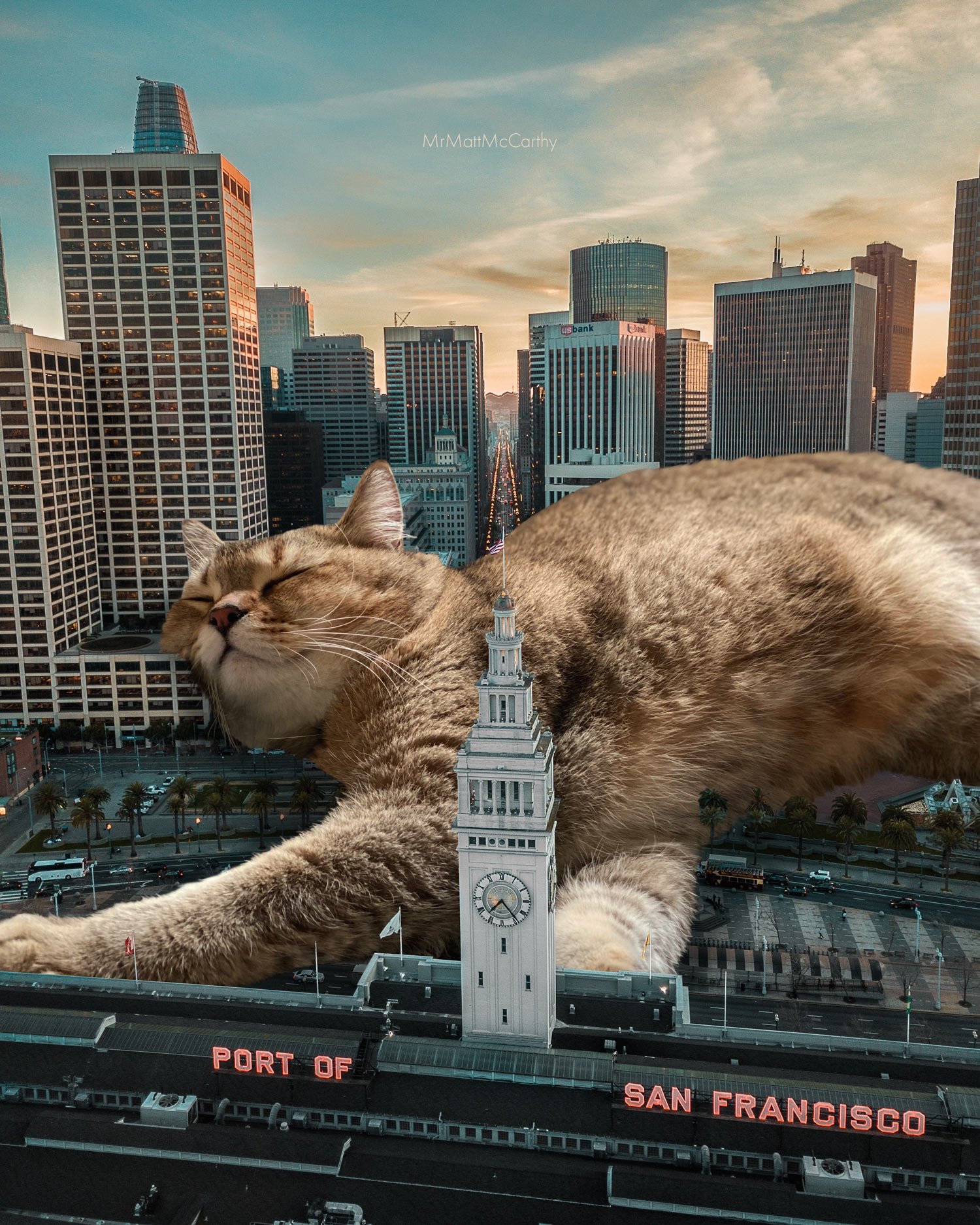 By Matt McCarthy, Surreal Cat Art