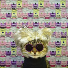 Paul Koudounaris, Warhol Cat