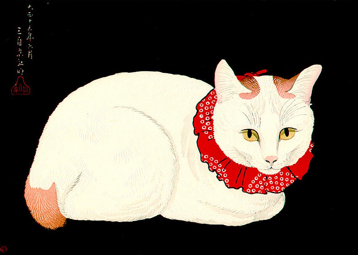 Tama the Cat by Hiroaki Takahashi