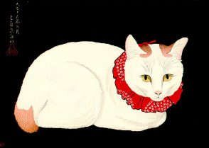 Tama the Cat by Hiroaki Takahashi