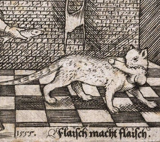 cec9db06283eaa9fb19497cc82352a15