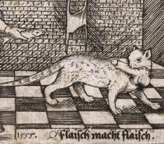 cec9db06283eaa9fb19497cc82352a15