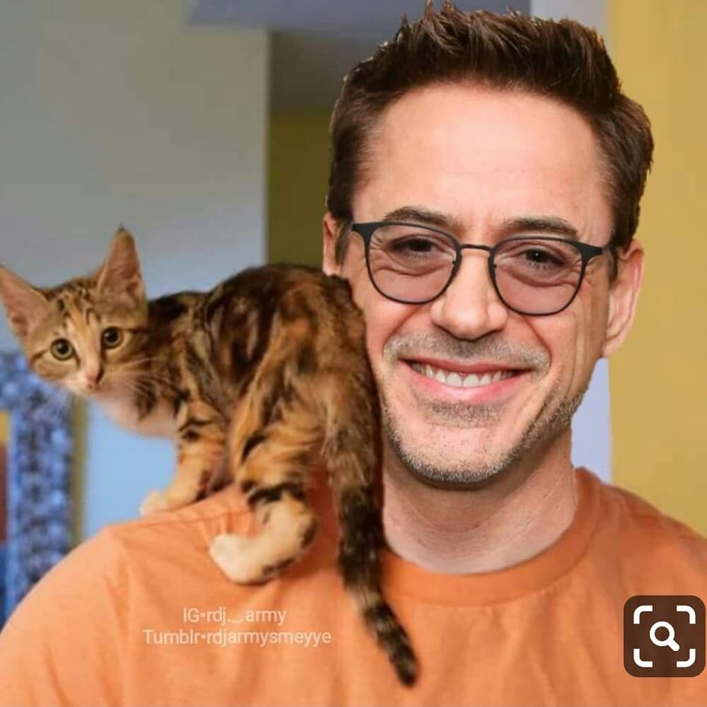 Robert Downey Jr.