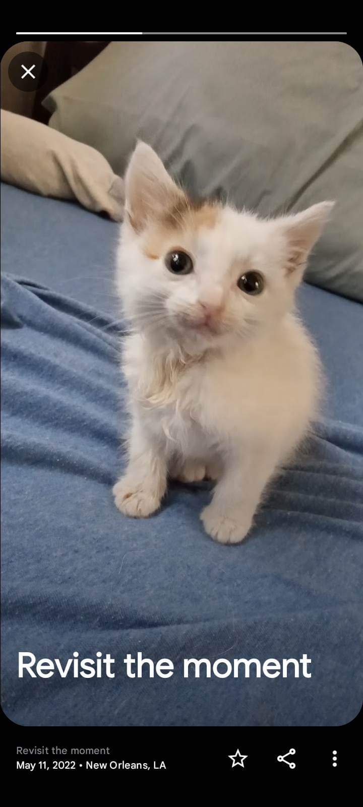 received_3402867659966101