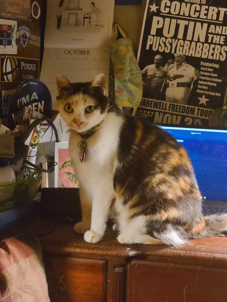 Resized_20221029_222841(1)