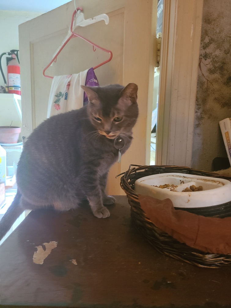 Resized_20230326_134142