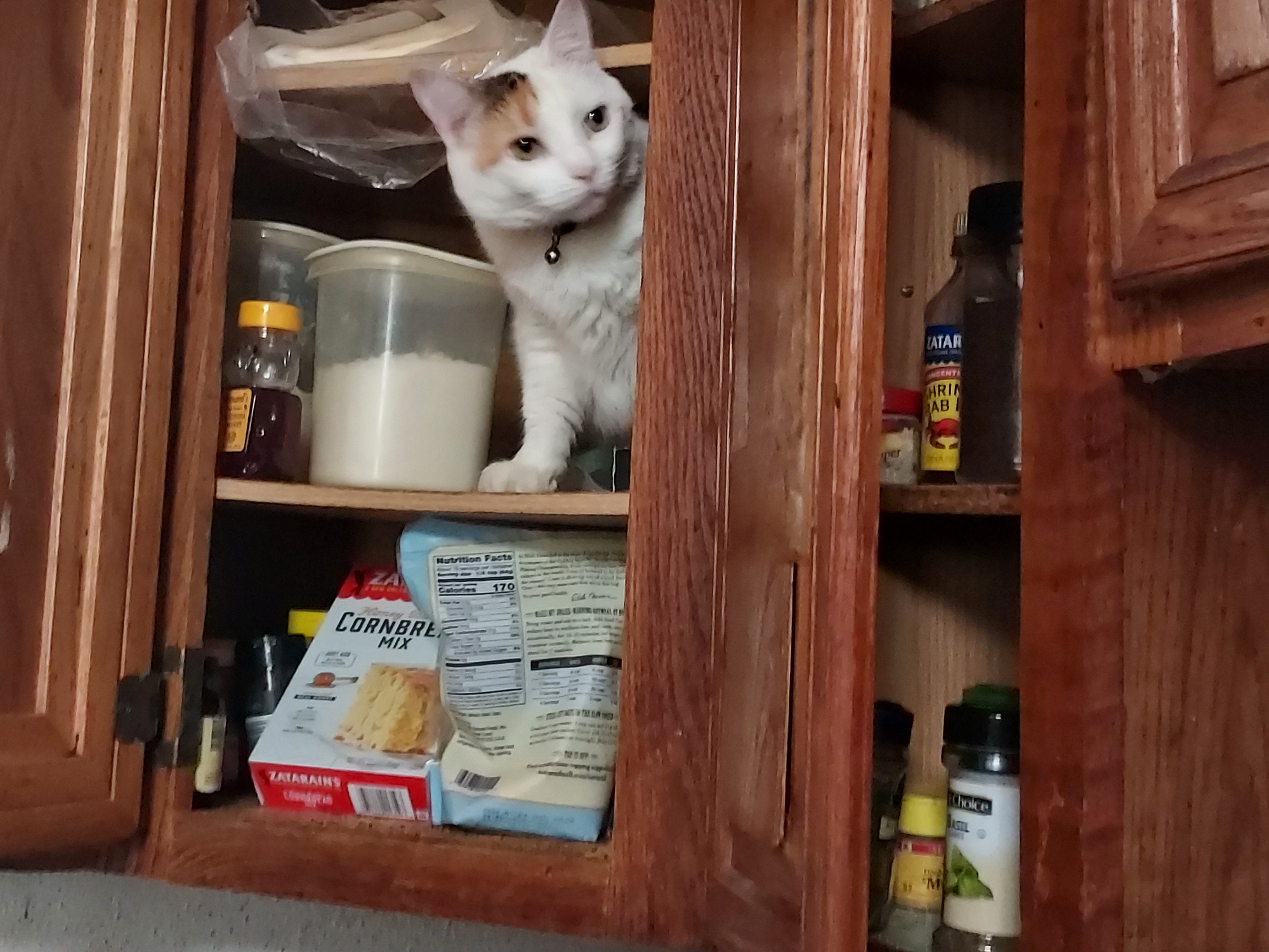 Resized_20240307_143716