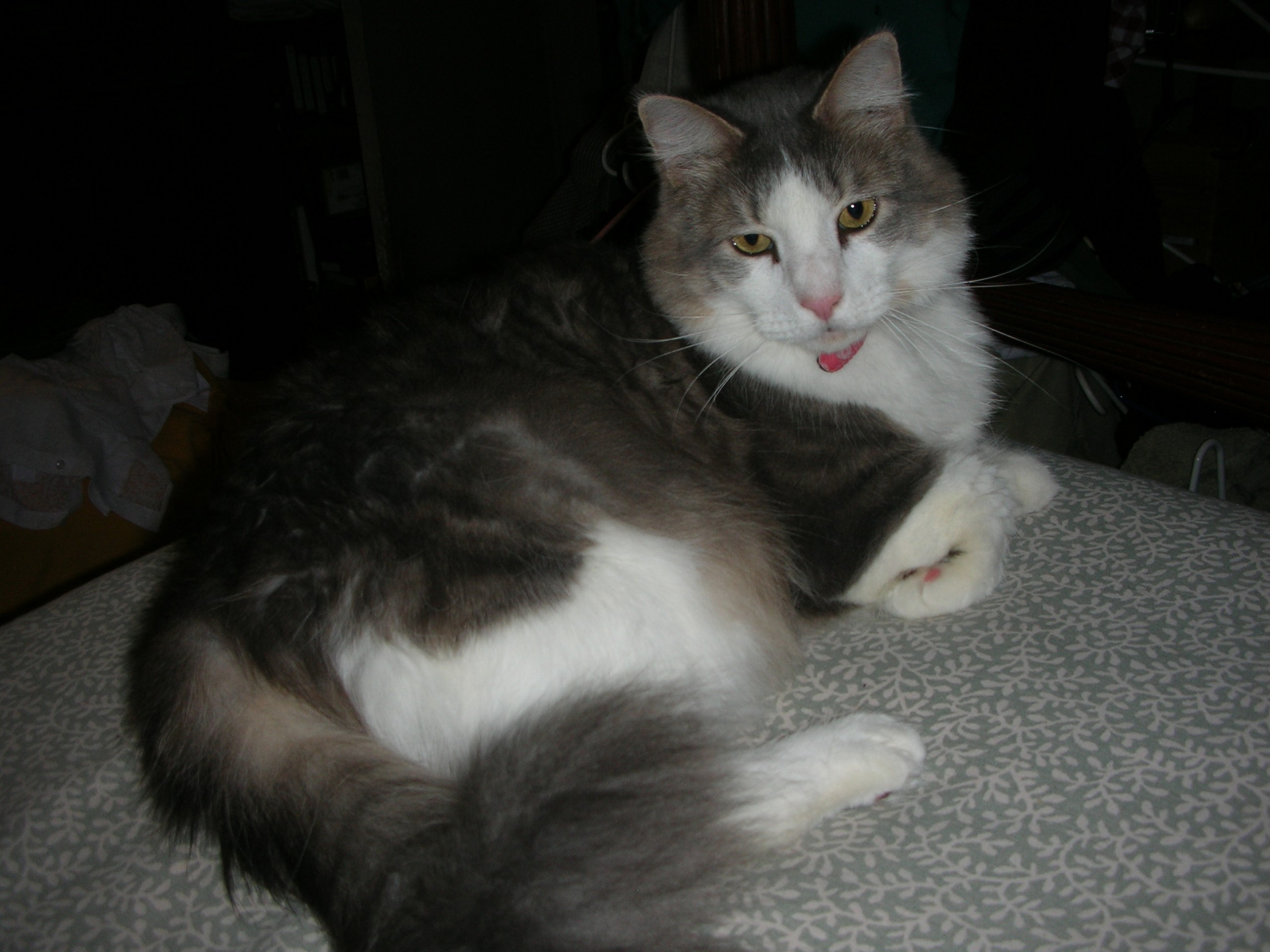 Resized_miles_005(1)