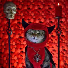 Paul Koudounaris, Mewcifer