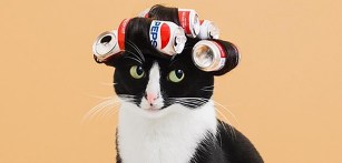 Princess Cheeto, by Hugo Martinez