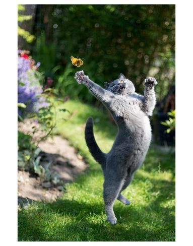 c251ce5c66db297cafe56c07a05979b8