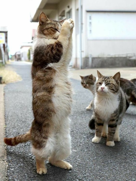 b110c4095021843cb28925aca9e93a90