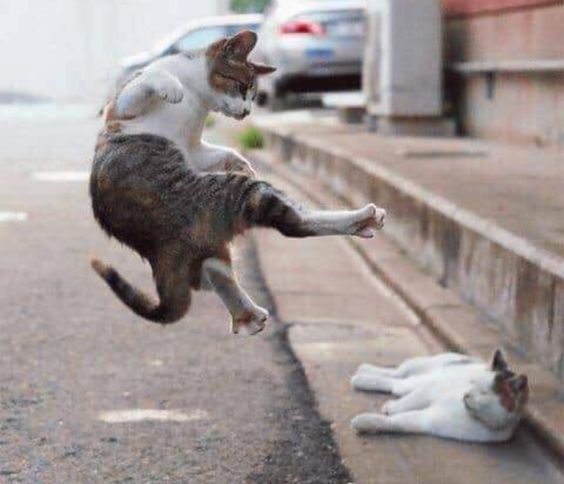 dca6c2457f1a9f6e983dfd64d9d25c0a