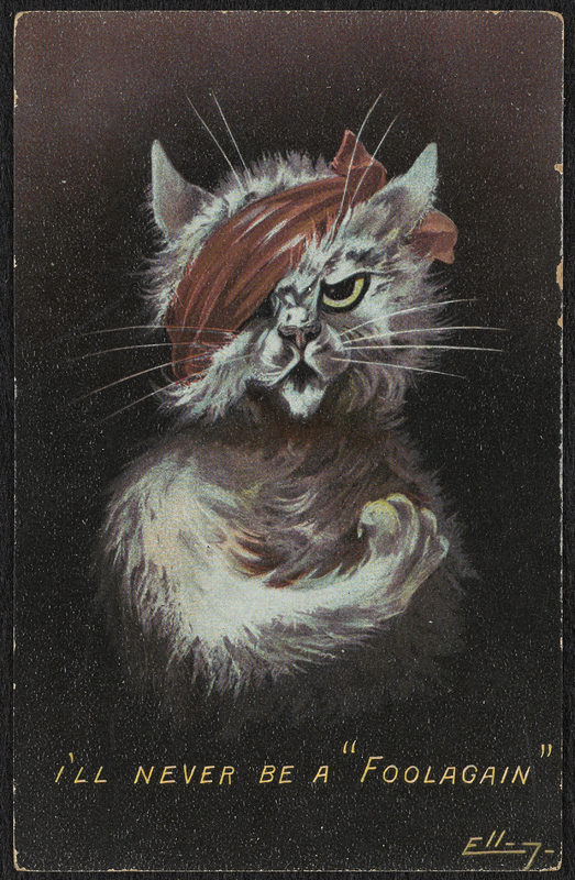 I'll never be a fool again