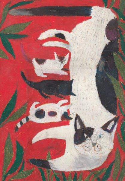 Miroco Machiko, 1981-present