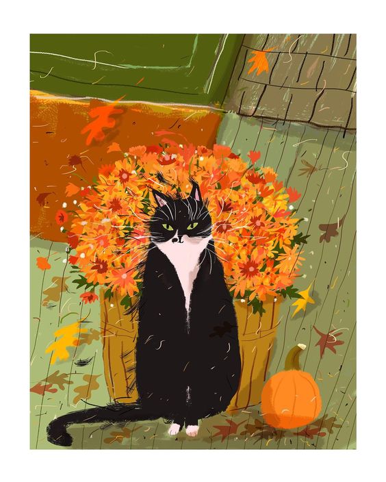 Windy Day, Jamie Shelman