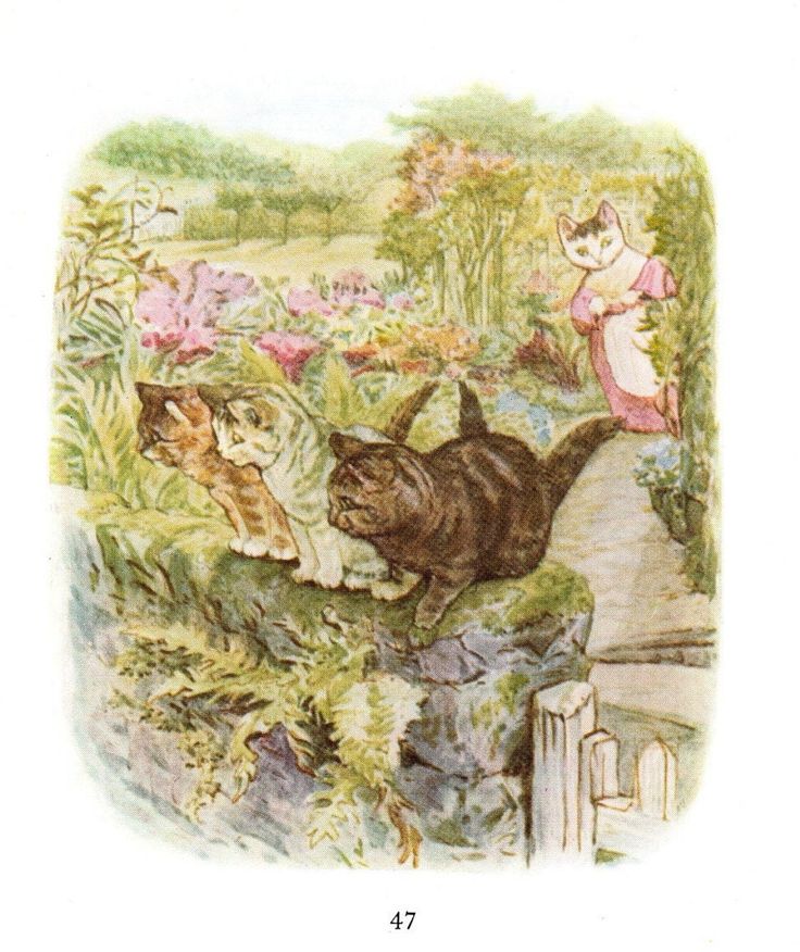 The Tale of Tom Kitten, Beatrix Potter